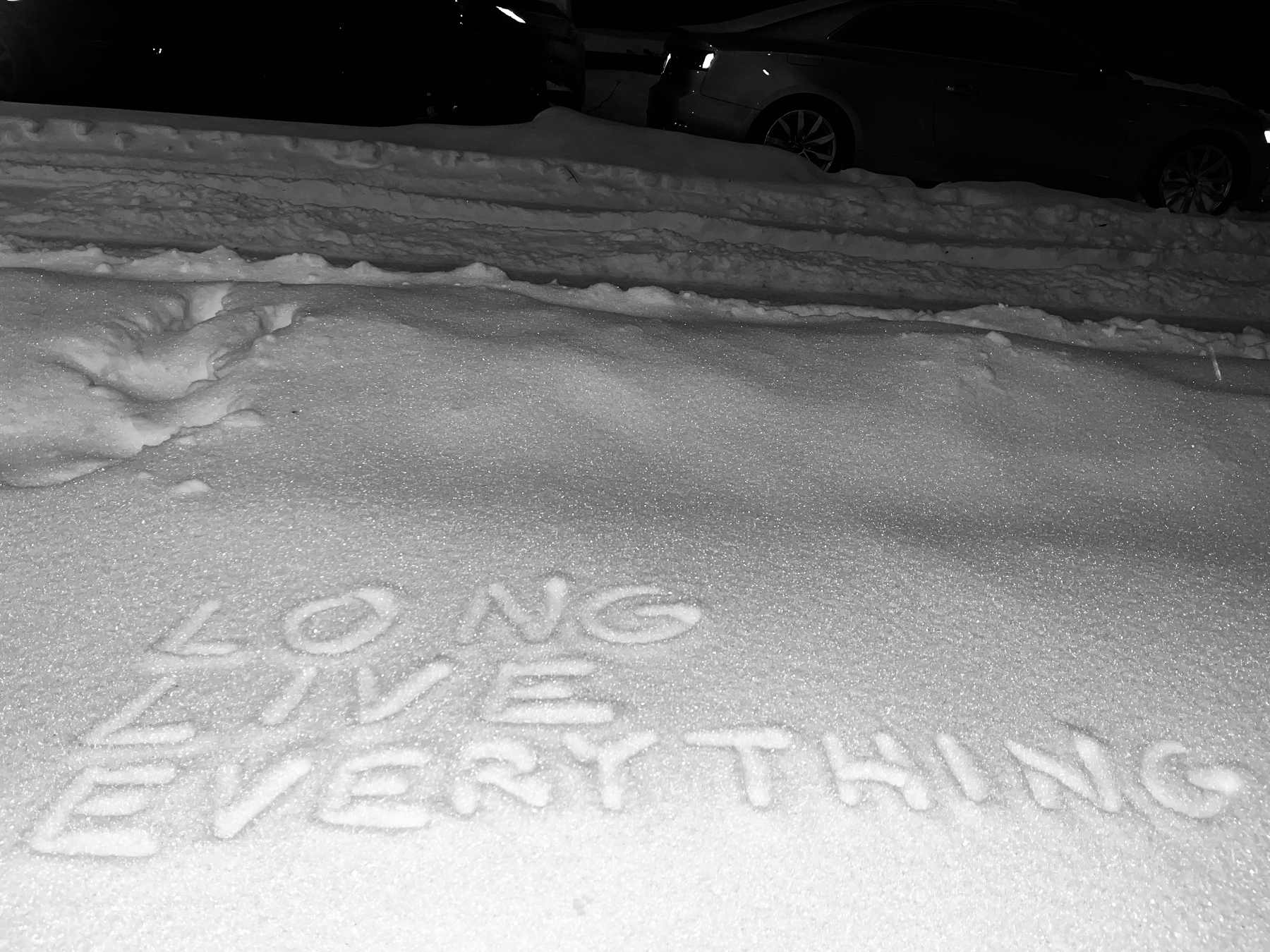 Text is inscribed in the snow reading LONG LIVE EVERYTHING with parked cars visible in the background.
